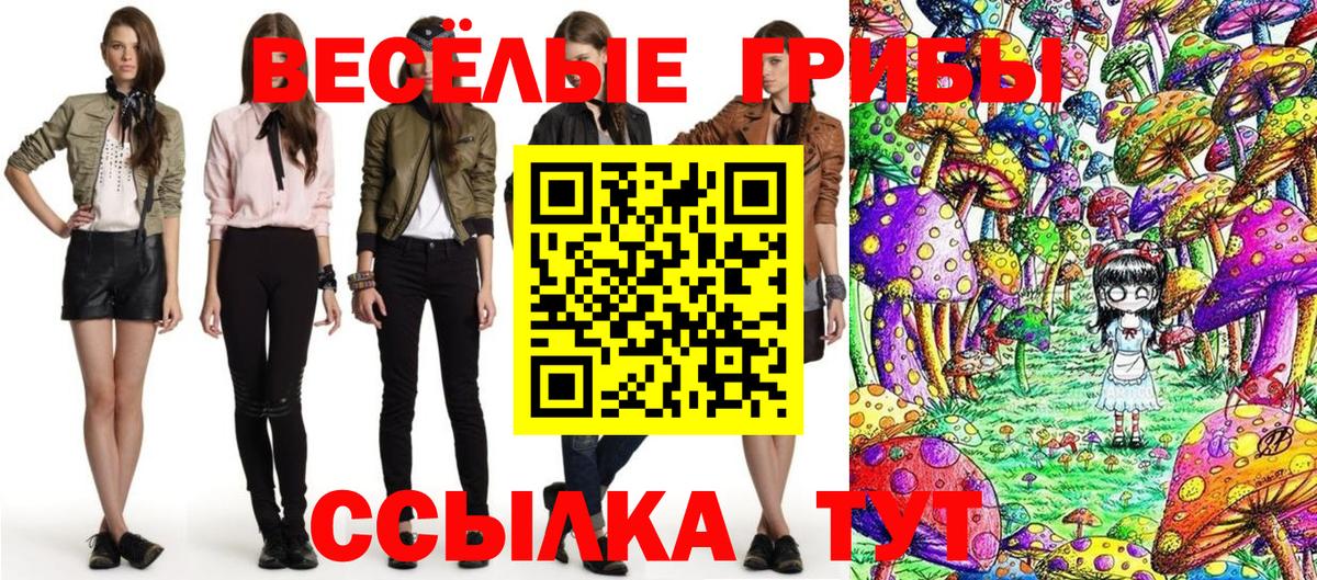 Котельники  Псилоцибиновые грибы Magic Shrooms  Вход с VPN 